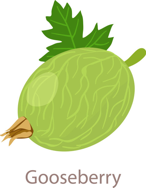 醋栗图标等距3d风格图片下载