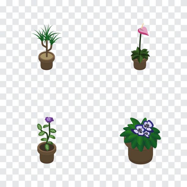 等距花套花盆种植者花图片下载