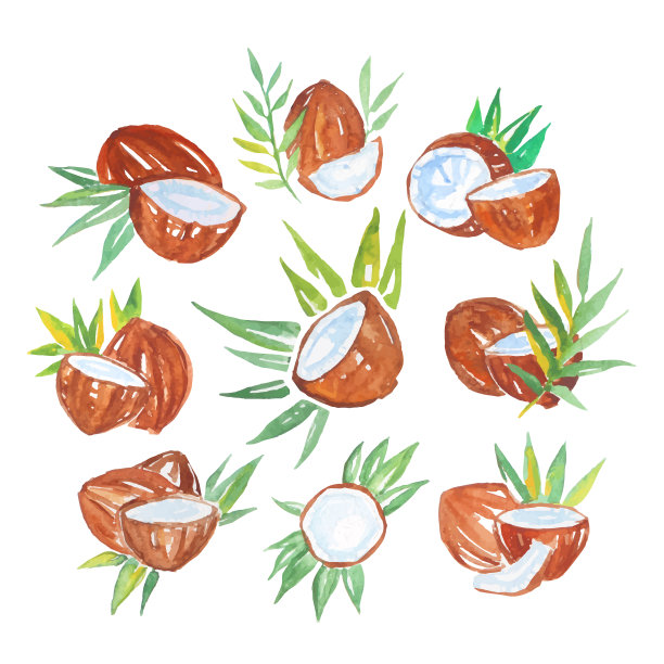 椰子与棕榈叶一套水彩画图片下载