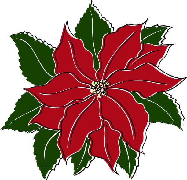 一品红在复古复古的风格为您图片下载