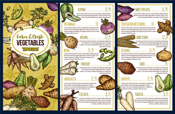 外来蔬菜简表图片下载