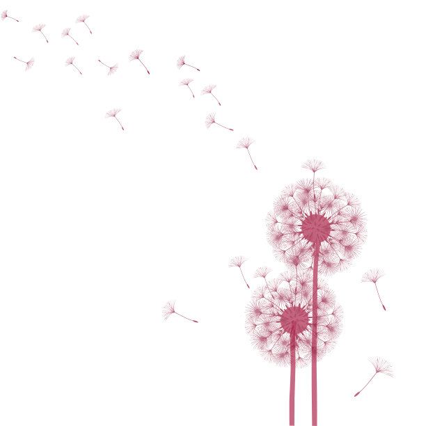 抽象的蒲公英背景设计图片下载