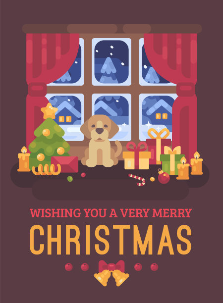 可爱的小狗坐在下雪的窗口图片下载