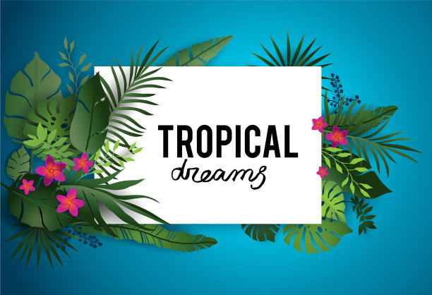 热带梦想海报图片下载