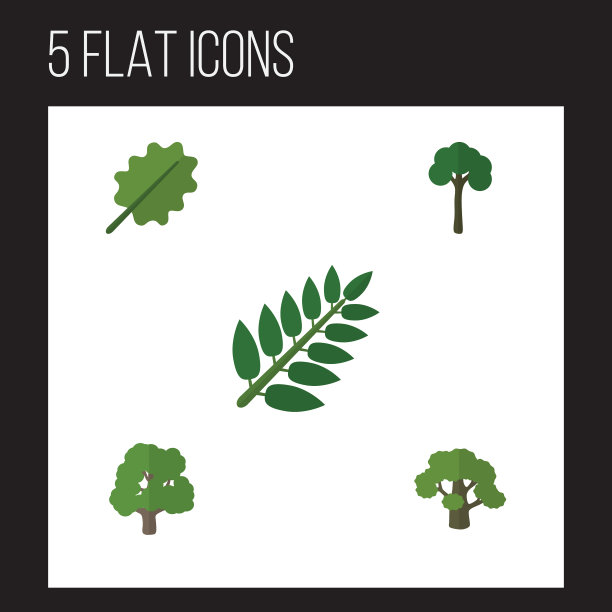 平图标生物常青装饰树集图片下载