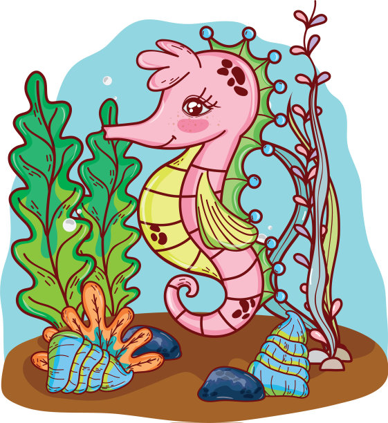 生长有海藻植物的热带海马动物图片下载