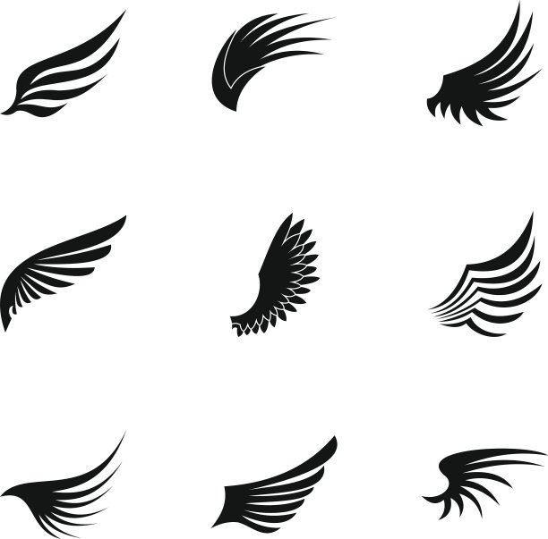 翅膀图标的类型设置简单的风格图片下载