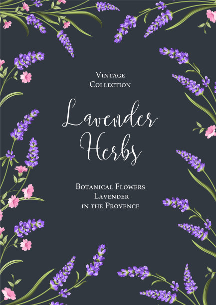 植物花的海报图片下载