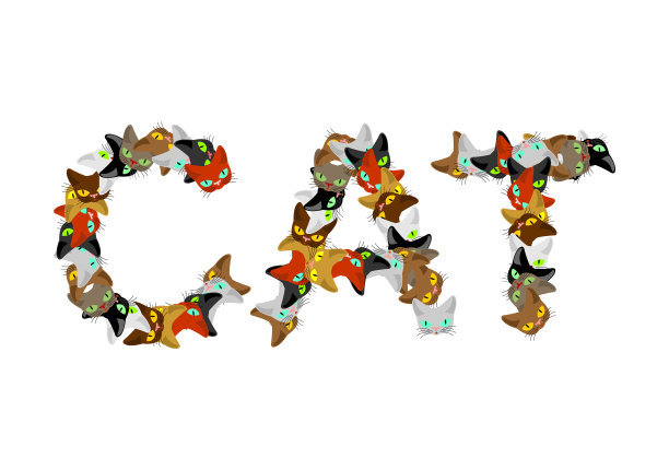 猫签名文字字母猫宠物字体家图片下载