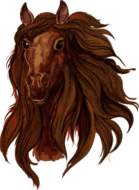 棕色栗色奔跑的马肖像图片下载