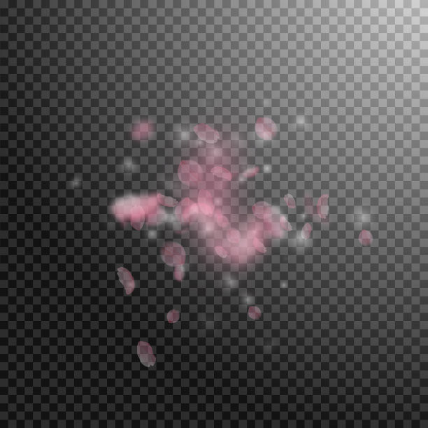 樱花花瓣飘落，浪漫的粉红色花朵图片下载