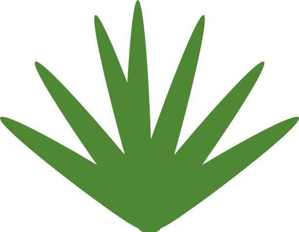 异国情调的丛林丛林图标图片下载