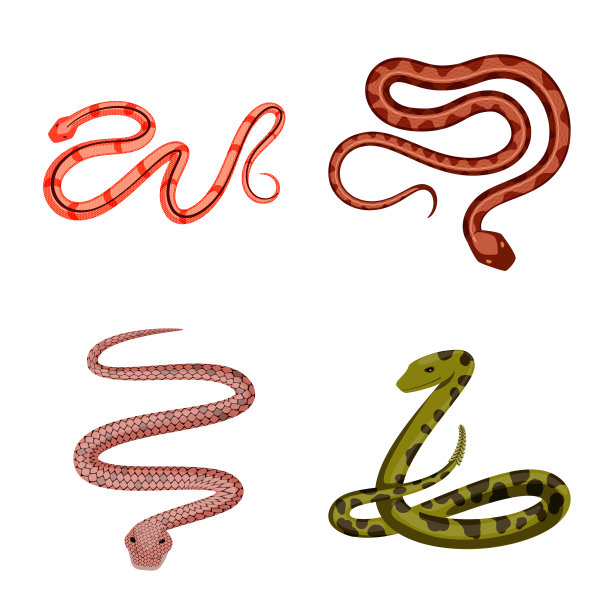 毒药和邪恶的标志集图片下载