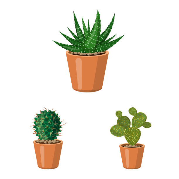 孤立对象的仙人掌和花盆标志集图片下载