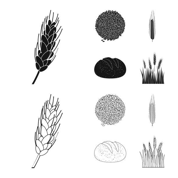 设计农业和农业标志集图片下载