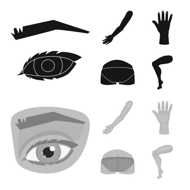 身体的孤立对象和身体的部分符号集图片下载