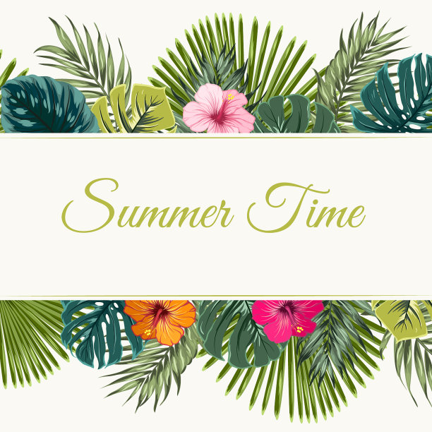 夏季热带设计框架上下图片下载