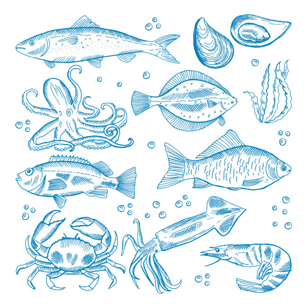 的海鲜图片下载