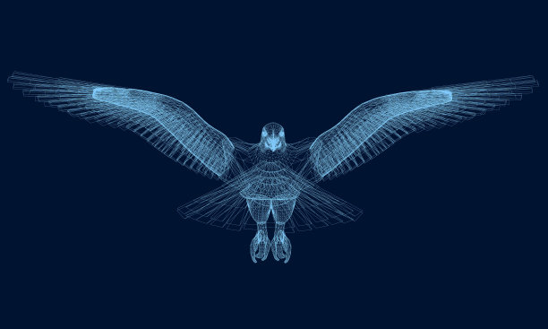 线框的鹰已经展开了它的翅膀3d图片下载