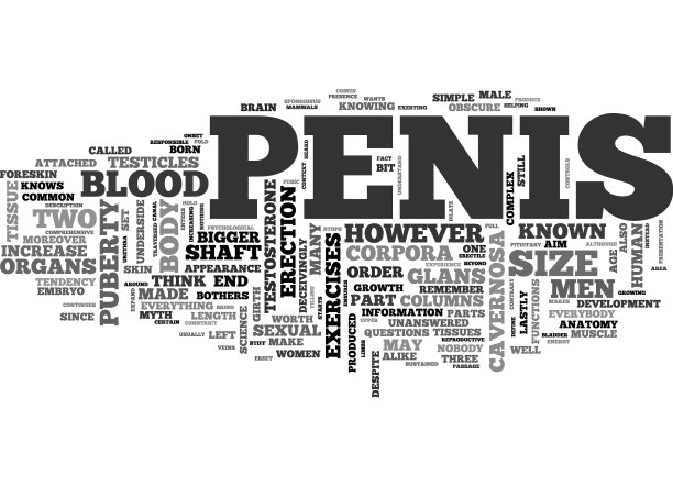 创伤文本词云概念分析图片下载