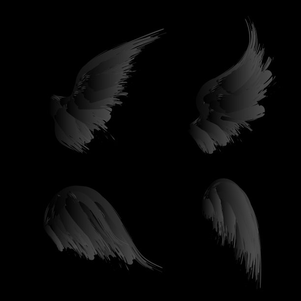 黑色梯度的翅膀图片下载