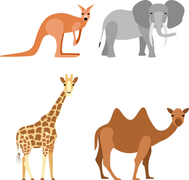 组动物图片下载