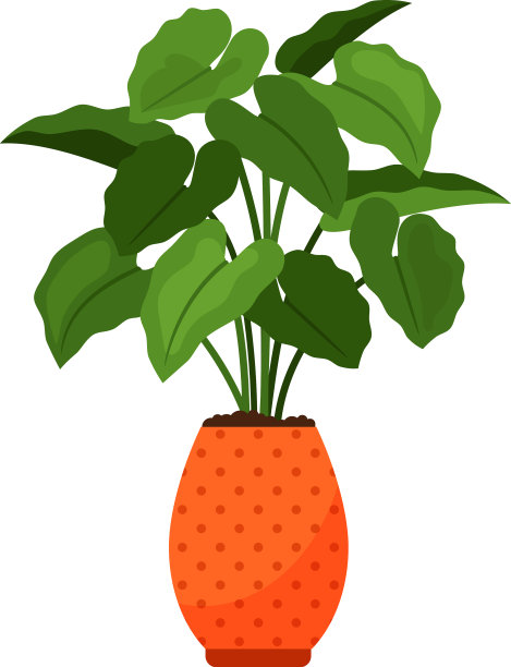 花盆内的盆栽图片下载