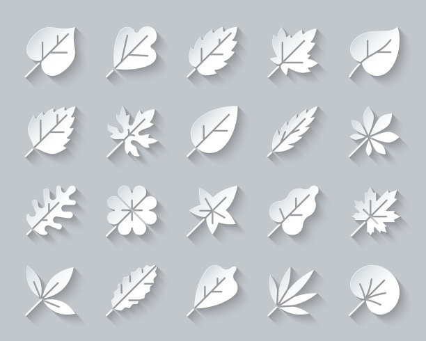 有机叶片简单剪纸图标集图片下载