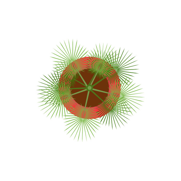 盆栽绿色棕榈树平面设计俯视图图片下载