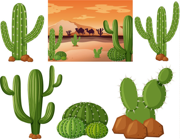 沙漠地带有仙人掌植物图片下载