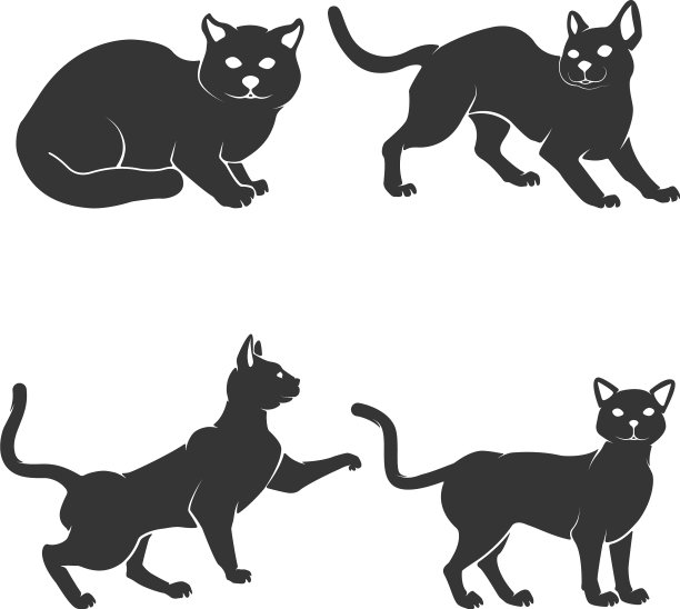 白色背景上的猫合集图片下载