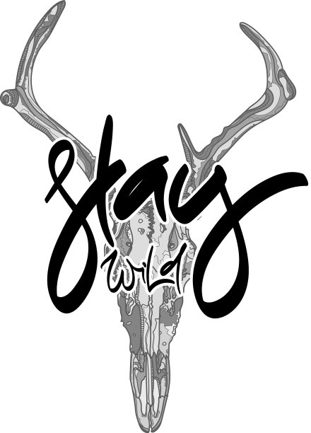 动物头骨与手绘字母图片下载