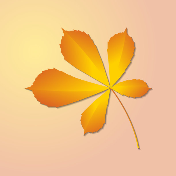 秋天栗叶图片下载