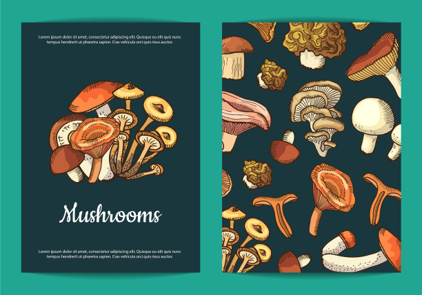 手绘蘑菇宣传册模板图片下载