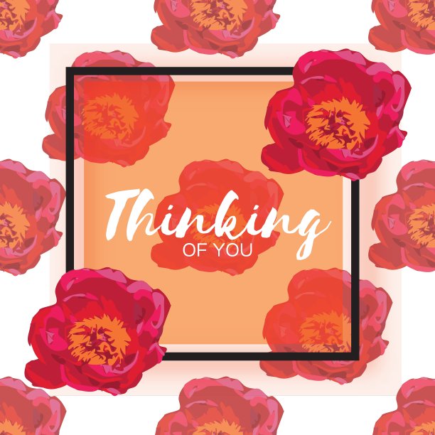 花束牡丹花园植物图片下载