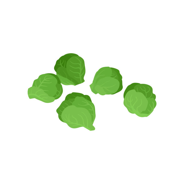 平面图标的绿色卷心菜有机和图片下载
