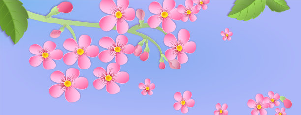 横幅上挂着一枝樱花图片下载