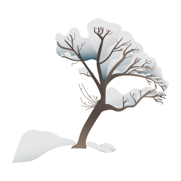 雪树森林或公园图片下载