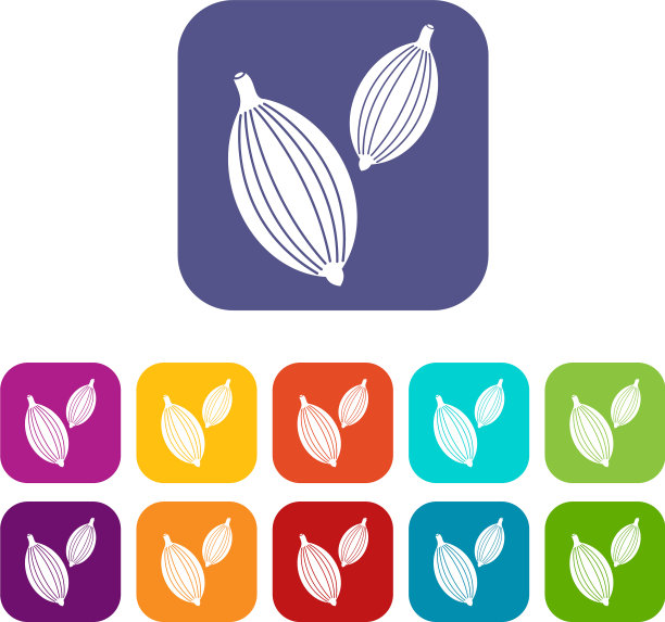 豆蔻荚图标设置平图片下载