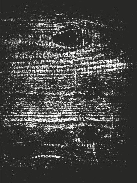 心疼覆盖木树皮纹理图片下载