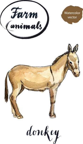 米色站驴图片下载