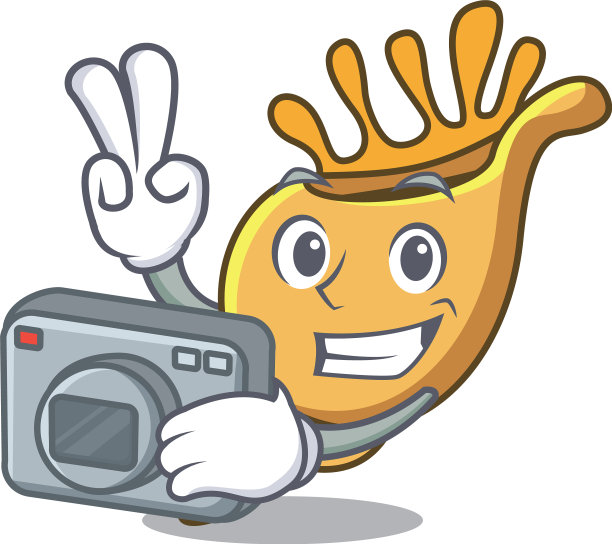 摄影师珍奇贝壳卡通吉祥物图片下载