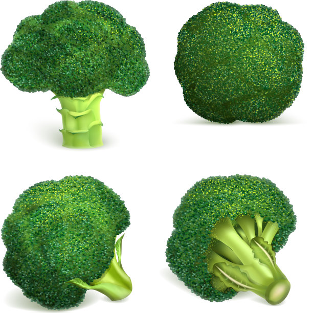 花椰菜图标设置现实风格图片下载