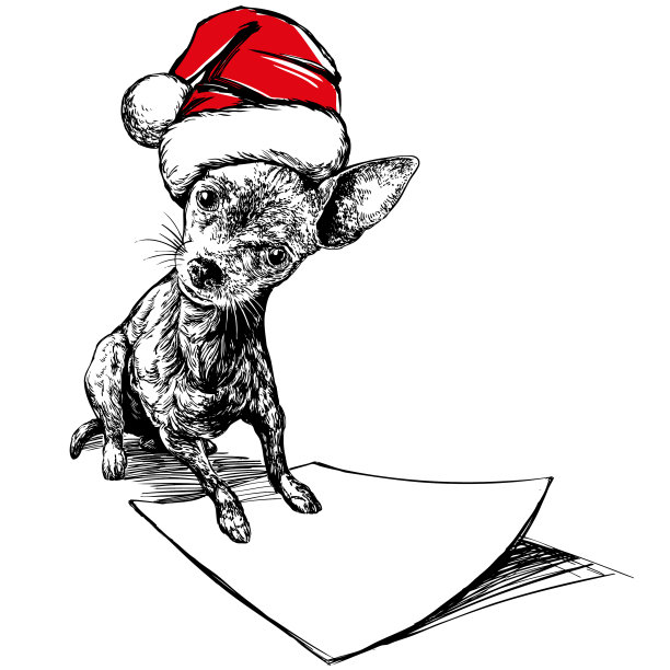 狗在圣诞袜帽子圣诞老人圣诞图片下载