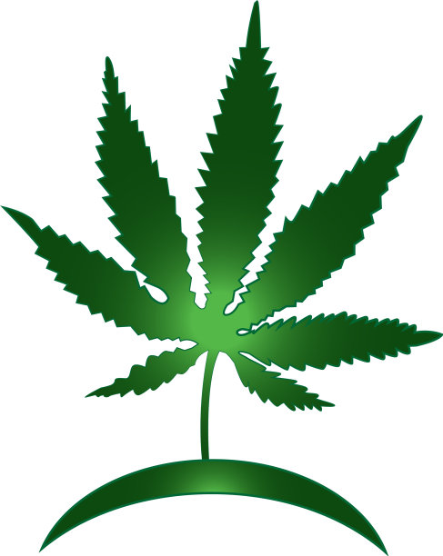 白色背景上的大麻植株分离物图片下载