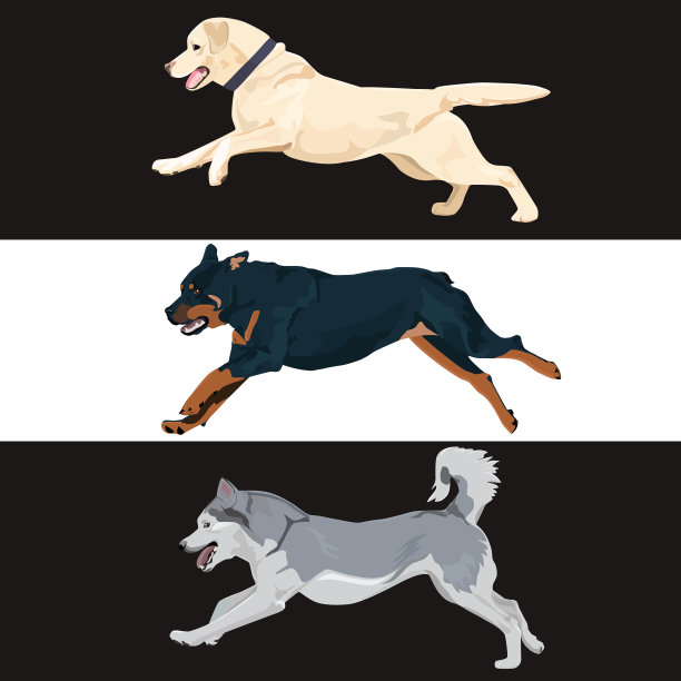 为您的设计收集走狗图片下载