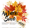 秋季促销卡与彩色的树叶图片下载