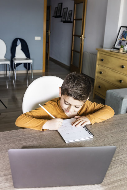 小男孩在虚拟课堂上。学校在家里图片下载