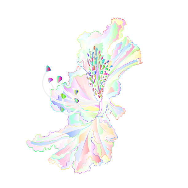 多色光花杜鹃花图片下载