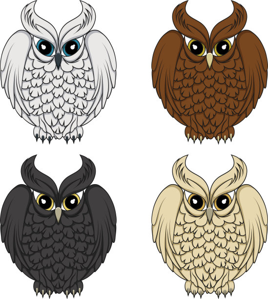 猫头鹰的一组彩色图像图片下载